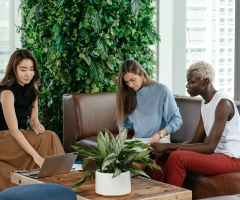 Rozjasnite si pracovné prostredie: Ktoré rastliny do kancelárie prospievajú nášmu zdraviu?