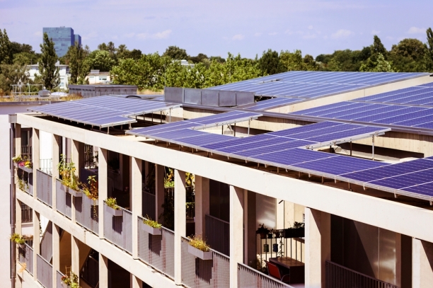 Zdroj: Shutterstock.com