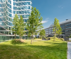 Kancelárie v príjemnom prostredí: Maximalizujte svoj výkon a kreativitu